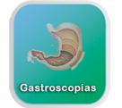 Ir a Gastroscop�a
